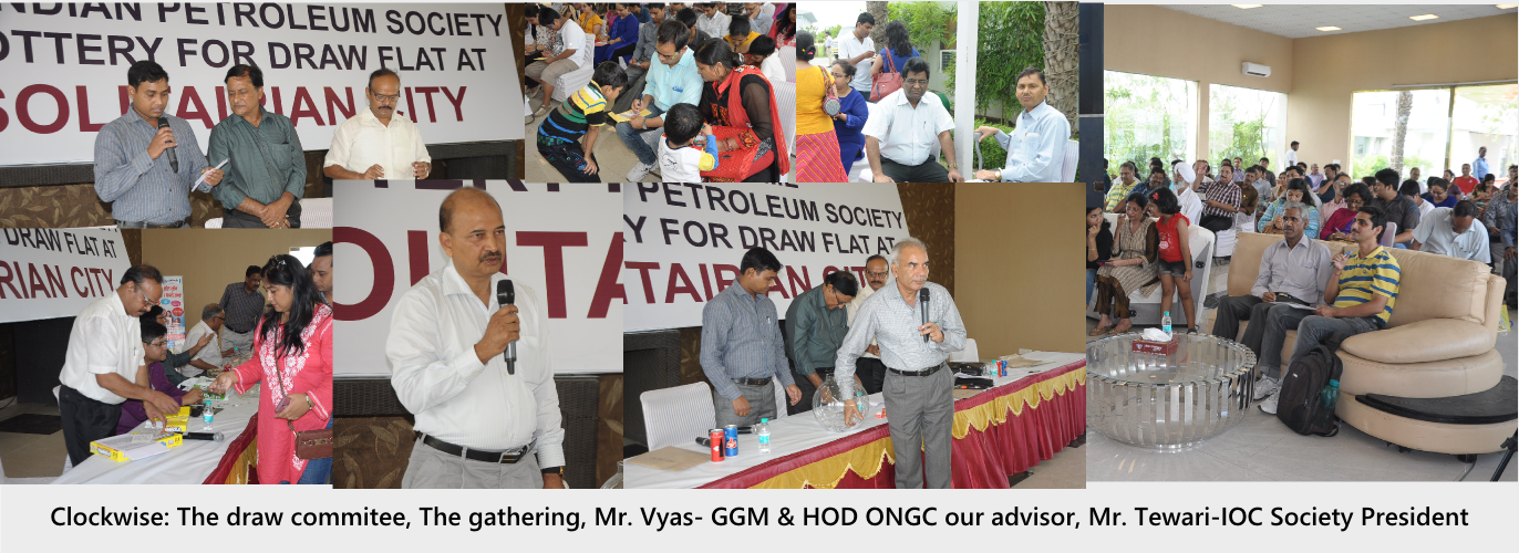 Allotment photos 26/7